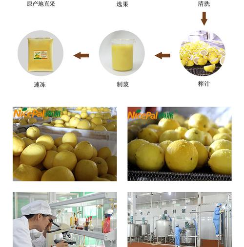 南派速冻柠檬原浆 奶茶饮品行业的创新原料之选